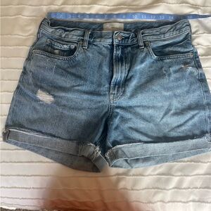 EVERLANE The Denim Short